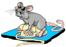 Mouse Gif
